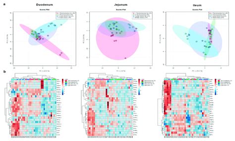 Principal Component Analysis Pca Plots A And Heat Maps B Of The