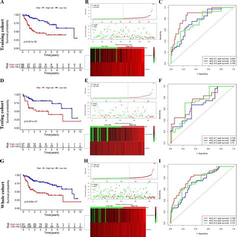 Prognostic Analysis Of The Training Cohort Testing Cohort And Whole