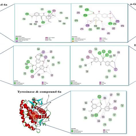 The D Analysis Of Compounds With The Best Docking Score Against