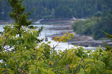 Acadia National Park Maine Sapphire Dream Photography Flickr