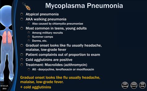 Patho Mycoplasma And Mycobacterial Infections Flashcards Quizlet