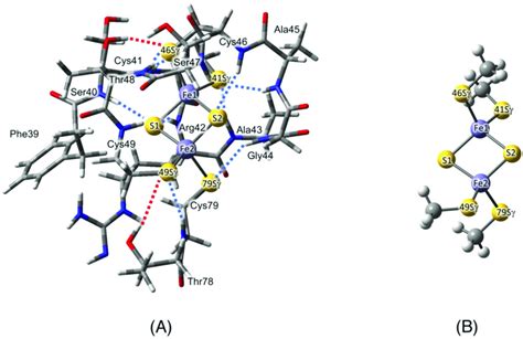 A Calculated Model Structure That Consists Of Amino Acid Residues