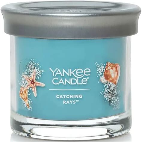 Yankee Candle Signature Small Tumbler Candle In Catching Rays Koa Koa