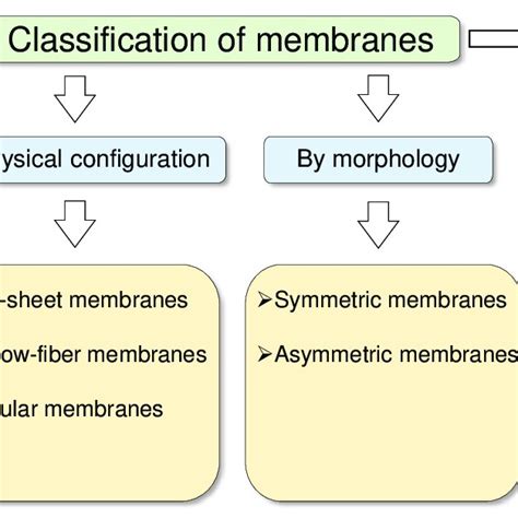 An Overview Of Membrane Classification Download Scientific Diagram