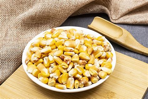 Corn Grain Hd Photography Material Background Photography Chart Corn