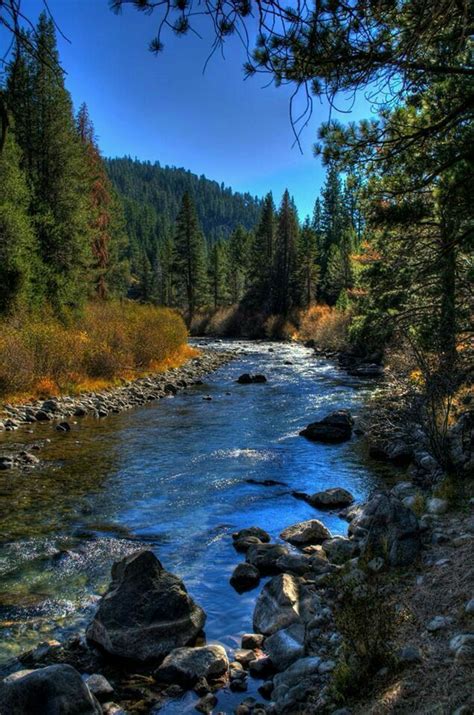 A River Running Through A Forest Filled With Lots Of Rocks And Pine Trees