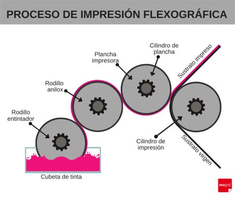 Impresi N Flexogr Fica Caracter Sticas Y Ventajas Esagraf