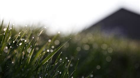 Wallpaper Sunlight Mountains Water Nature Sky Branch Green