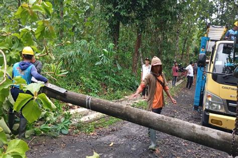 Hujan Angin Pohon Hingga Tiang Listrik Roboh Di Kulonprogo