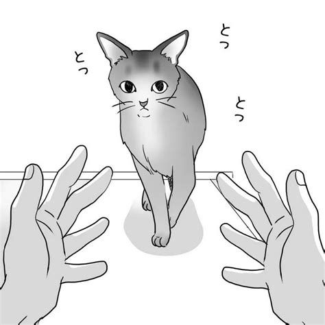 呼んでも来ない愛猫が、唯一吸い込まれるように来てくれる場所【ねこ漫画】 ペトコト（petokoto）