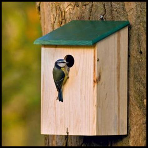 TRADITIONAL WOODEN BIRD NESTING NEST BOX BIRD HOUSE | eBay