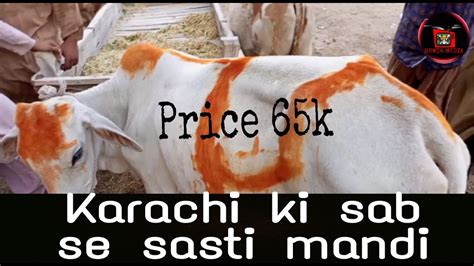 Surjani Mandi 2022 Karachi Karachi Ki Sab Se Sasti Mandi Munasib