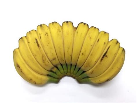 17 Types Of Bananas Different Varieties Insanely Good