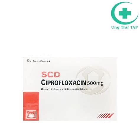 Scd Ciprofloxacin Mg Pymepharco I U Tr Nhi M Tr Ng