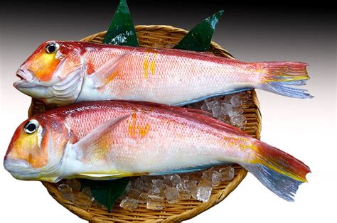 甘鯛【グジ】 高級魚天然甘鯛【グジ】を拘りの製法で仕上げた干物 グジ 干物 アマダイ