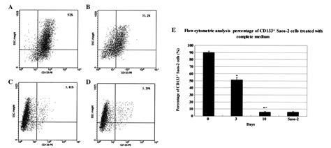 Cd133 Expression In Osteosarcoma And Derivation Of Cd133 Cells