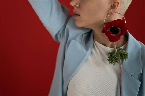 red anemone flower 1