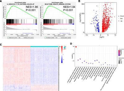 Frontiers Identification Of An Immune Related Signature For