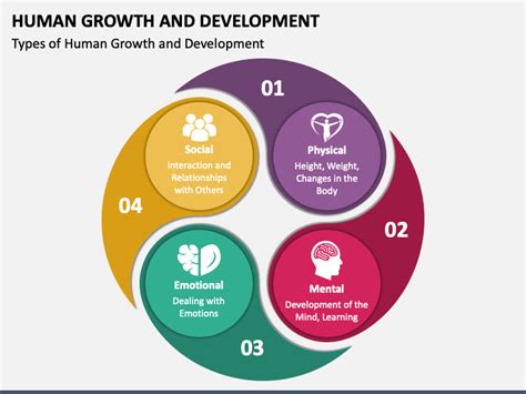 Human Growth and Development PowerPoint and Google Slides Template ...