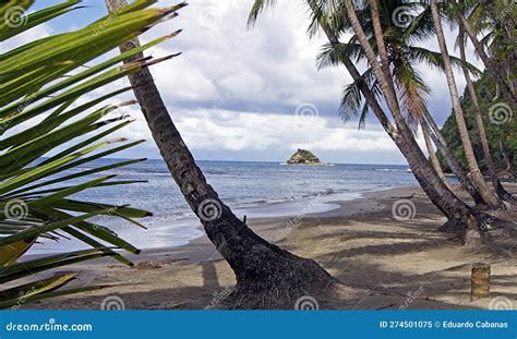 Panoramic of Batibou Beach, Dominica Island Stock Image - Image of ...