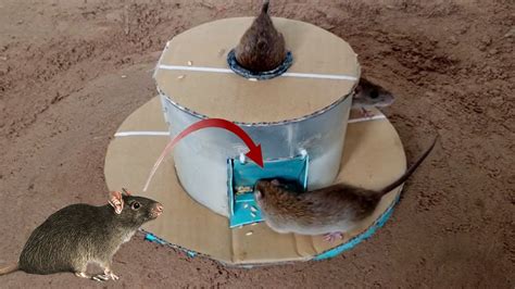 Six Creative Simple Mouse Rat Trap In Action Youtube