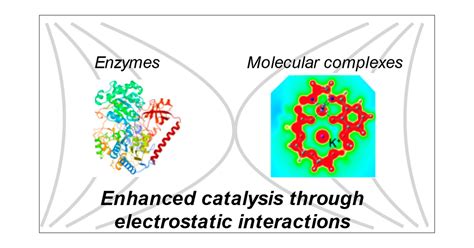 Electric Fields In Catalysis From Enzymes To Molecular Catalysts Acs