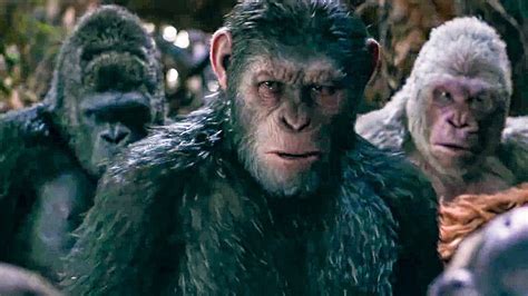 I Did Not Start This War Scene War For The Planet Of The Apes 2017