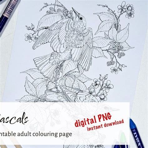 Coronet Mariola Budek Premium Coloring Page Printable Adult Colouring