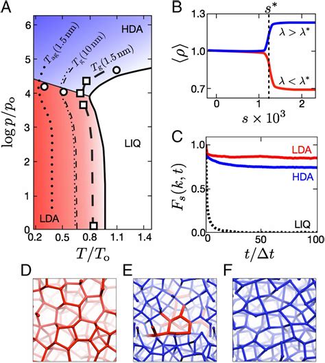 Theory Of Amorphous Ices Pnas