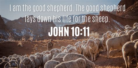 I Am The Good Shepherd What You Need To Know About The John 10 11 18