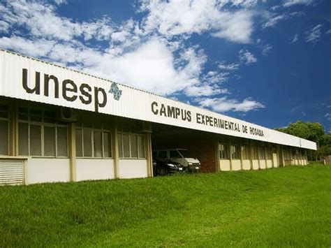 Unesp 2024 lista de aprovados em quinta chamada é divulgada veja como