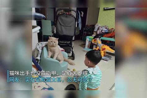 萌娃坐沙发挤猫咪，猫咪受不了终究还是出手了，猫咪：忍你很久了