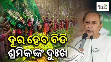 Special Package For Beedi Workers Bjd Supremo Naveen Patnaik S