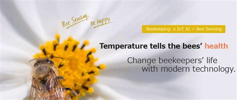 Bee Sensing Iot And Ai Technology Solution For Bee Keeping