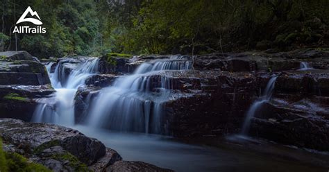 10 Best hikes and trails in Barrington Tops National Park | AllTrails