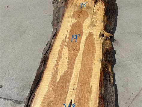 Honey Locust Slab Le2259 1b 104 6 Irion Lumber Company