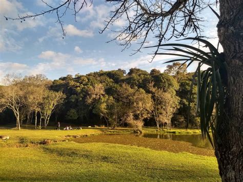 Parques Em Curitiba Quais Os Mais Bonitos Para Visitar