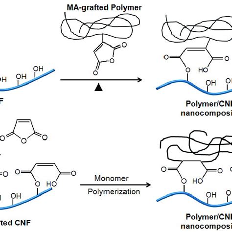 Scheme Examples Of Polymers Having Hydrogen Bonding Interaction