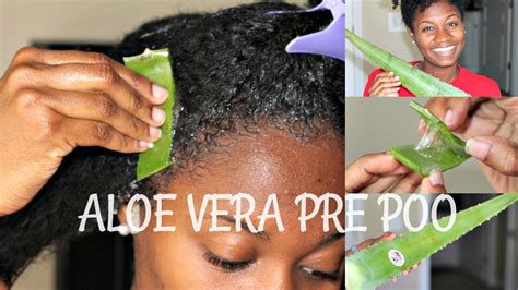 Best Pre Poo Routine For Natural Hair Artofit