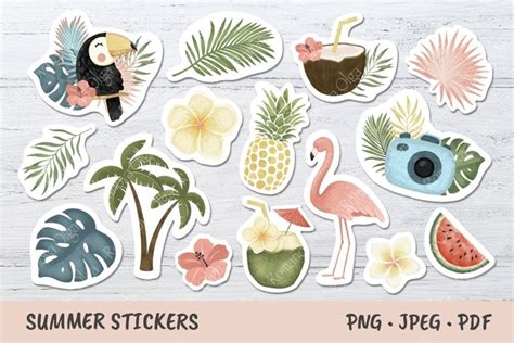 Summer Stickers Tropical Illustrations 1384560