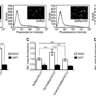 Papp A Knockdown Causes Angiogenesis Defects And Modulates Vascular