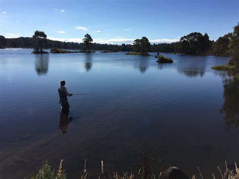 Beyond Trout Trout Guides Lodges Tasmania