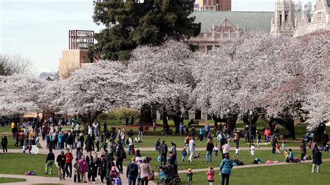 WA offers certain students free tuition. Here’s how to apply ...