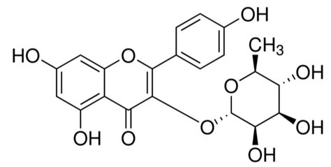 山奈酚 3 O α L 鼠李糖苷 天津阿尔塔科技有限公司