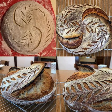 New Scoring Pattern With A Crazy Ear Bread Scoring Sourdough Bread