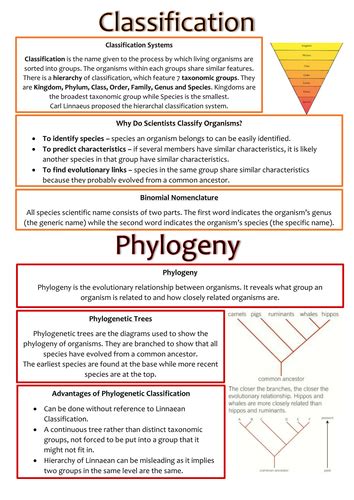 Biology Ocr Asa2 Revision Notes Module 4 Biodiversity Evolution