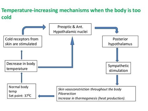 Body temperature and its regulation