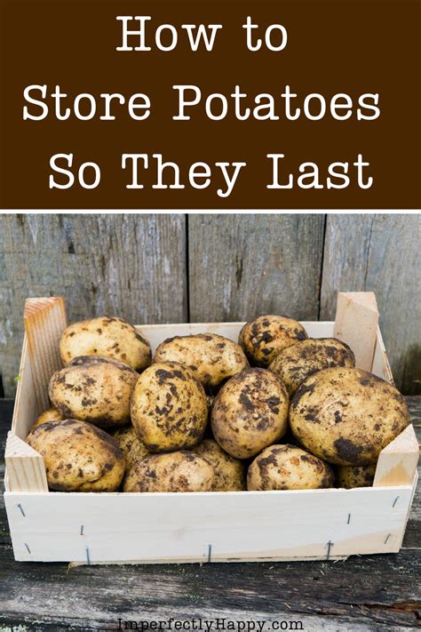 How To Store Potato Germination At Tina Black Blog