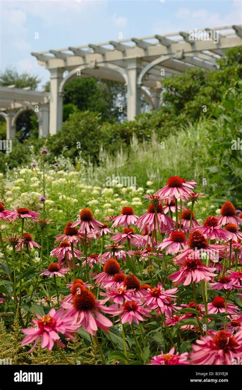 Usa Massachusetts Boylston Tower Hill Botanic Garden Arbor