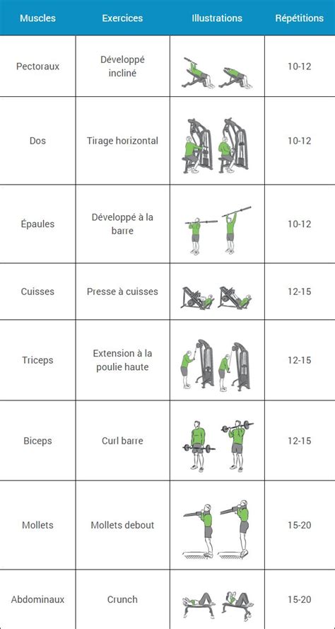 Programme De Musculation Pour Débutant Sur 6 Semaines Comprend Un